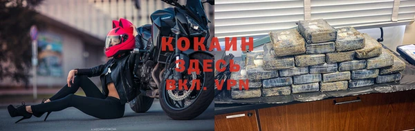 шишки Горно-Алтайск