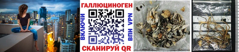 omg ССЫЛКА  Сургут  Псилоцибиновые грибы MAGIC MUSHROOMS 